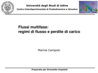 Flussi multifase: regimi di flusso e perdite di carico