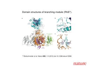 T Bretschneider et al. Nature 000 , 1 - 5 (2013) doi:10.1038/nature 12588