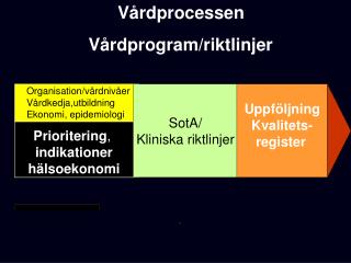 Vårdprocessen