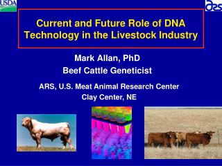 Current and Future Role of DNA Technology in the Livestock Industry