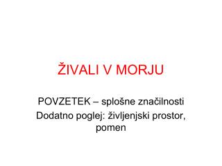 ŽIVALI V MORJU