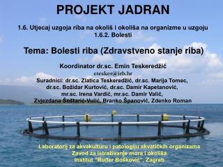 PROJEKT JADRAN 1.6. Utjecaj uzgoja riba na okoliš i okoliša na organizme u uzgoju 1.6.2. Bolesti