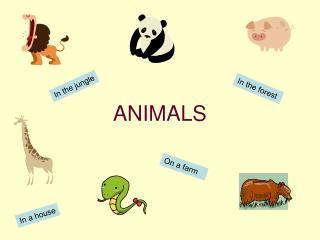 ANIMALS