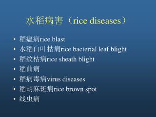 水稻病害（ rice diseases ）