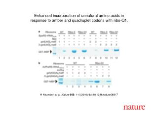 H Neumann et al. Nature 000 , 1 - 4 (2010) doi:10.1038/nature08 817