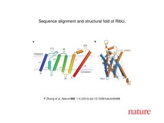 P Zhang et al . Nature 000 , 1 - 4 (2010) doi:10.1038/nature0 9488