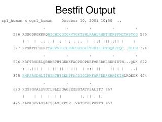 Bestfit Output