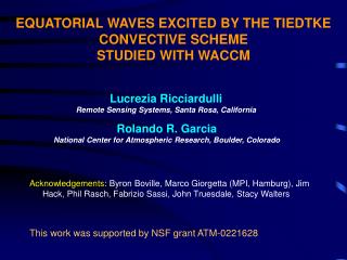 EQUATORIAL WAVES EXCITED BY THE TIEDTKE CONVECTIVE SCHEME STUDIED WITH WACCM