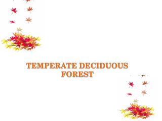 TEMPERATE DECIDUOUS FOREST