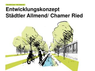 Entwicklungskonzept Städtler Allmend/ Chamer Ried