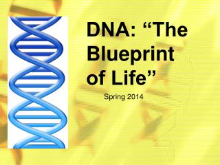 DNA: “The Blueprint of Life”