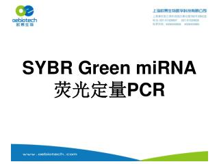 SYBR Green miRNA 荧光定量 PCR