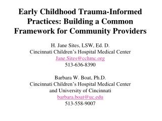 Trauma informed practices for children : Seeing t he world through the eyes of the child