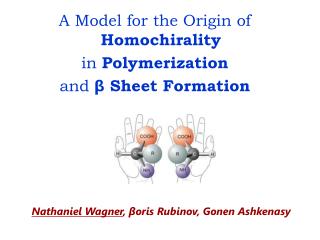 A Model for the Origin of Homochirality in Polymerization and β Sheet Formation