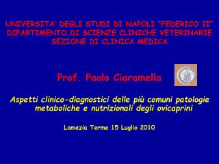 Prof. Paolo Ciaramella