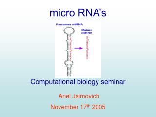 micro RNA’s