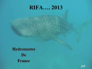 RIFA…. 2013