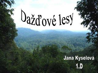 Dažďové lesy