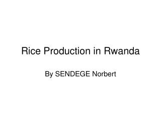 Rice Production in Rwanda