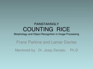 PAINSTAKINGLY COUNTING RICE Morphology and Object Recognition in Image Processing
