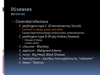 Diseases Bacterial