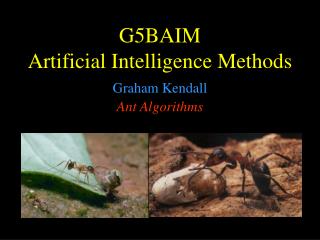 G5BAIM Artificial Intelligence Methods