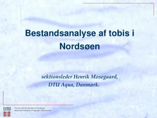 Bestandsanalyse af tobis i Nordsøen sektionsleder Henrik Mosegaard, DTU Aqua, Danmark.