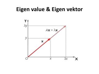 Eigen value &amp; Eigen vektor