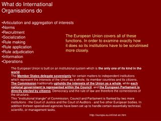 What do International Organisations do Articulation and aggregation of interests Norms Recruitment