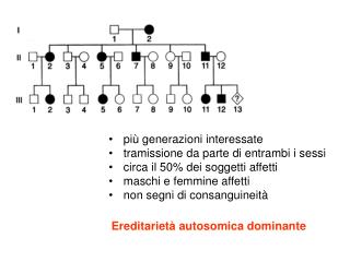 più generazioni interessate tramissione da parte di entrambi i sessi