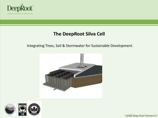 The DeepRoot Silva Cell Integrating Trees, Soil & Stormwater for Sustainable Development.