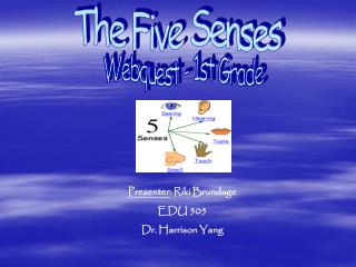 The Five Senses