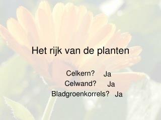 Het rijk van de planten