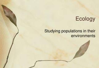 Ecology
