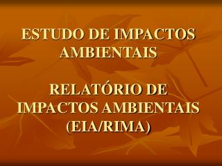 ESTUDO DE IMPACTOS AMBIENTAIS RELATÓRIO DE IMPACTOS AMBIENTAIS (EIA/RIMA)