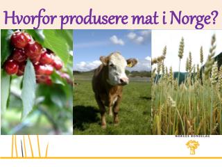 Hvorfor produsere mat i Norge?