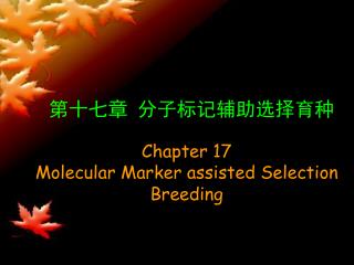 第十七章 分子标记辅助选择育种 Chapter 17 Molecular Marker assisted Selection Breeding