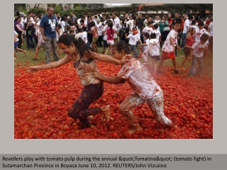 Colombians celebrate Tomatina