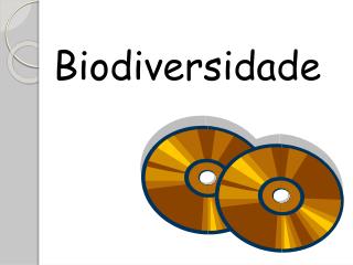 Biodiversidade