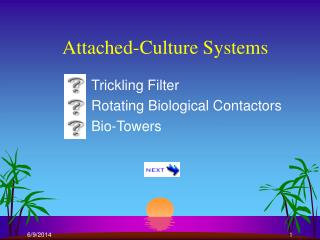 Attached-Culture Systems