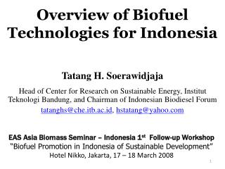 Overview of Biofuel Technologies for Indonesia