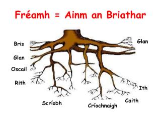 Fréamh = Ainm an Briathar