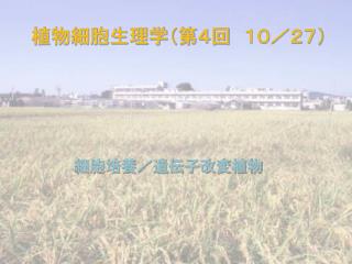 植物細胞生理学（第４回　１０／２７）