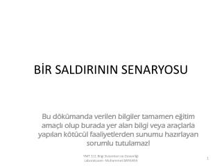 BİR SALDIRININ SENARYOSU