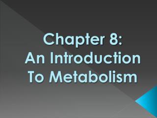 Chapter 8: An Introduction To Metabolism