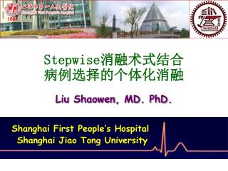 Stepwise 消融术式结合病例选择的个体化消融