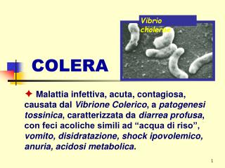 COLERA