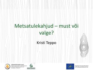 Metsatulekahjud – must või valge ?