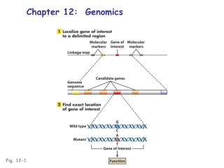 Fig. 12-1