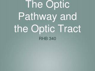 The Optic Pathway and the Optic Tract